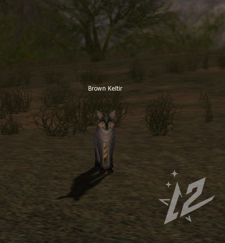 Brown Keltir 2 lvl 1 Brown Keltir