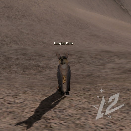 Longtail Keltir 2 lvl 1 Longtail Keltir