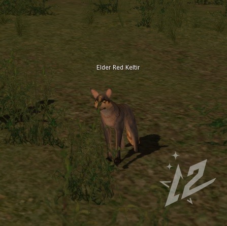 Elder Red Keltir 3 lvl 1 Elder Red Keltir