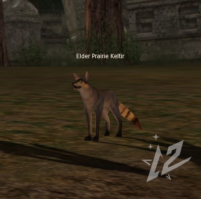 Elder Prairie Keltir 3 lvl 1 Elder Prairie Keltir
