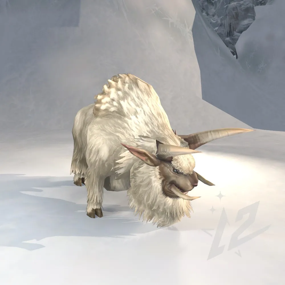 Freya's Buffalo
