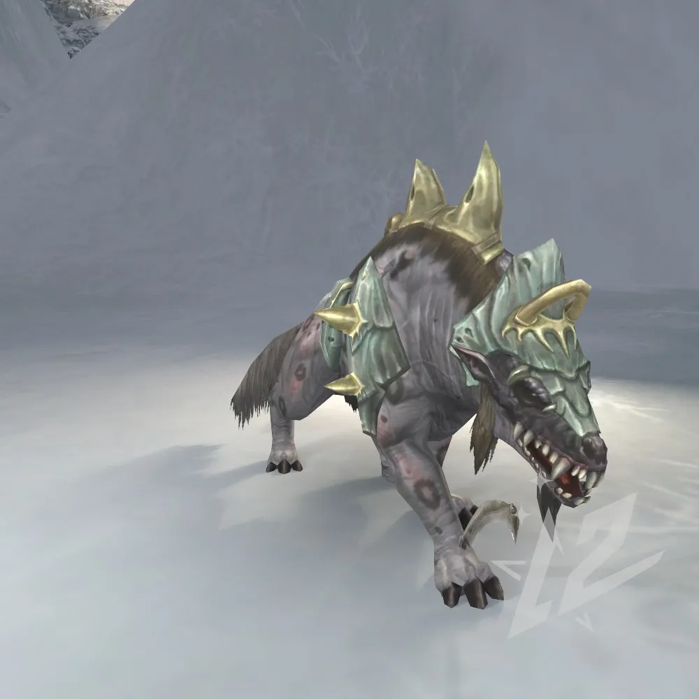 Freya's Dog