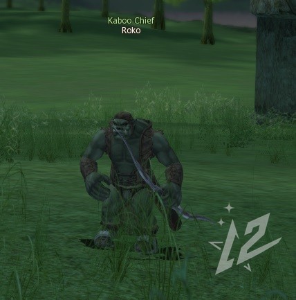 Roko